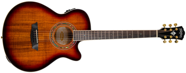 Washburn EA55G Acoustic Guitar product image