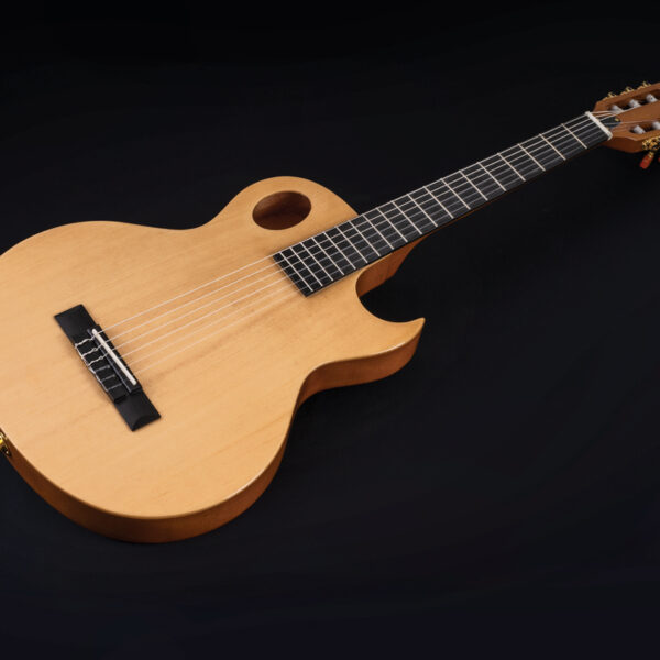 Washburn EACT42S Acoustic Guitar - view 2