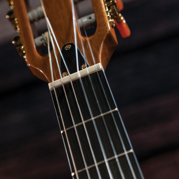 Washburn EACT42S Acoustic Guitar - view 3