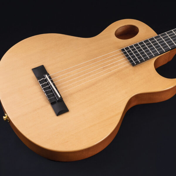 Washburn EACT42S Acoustic Guitar - view 4