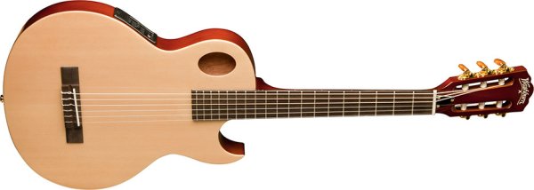 Washburn EACT42S Acoustic Guitar