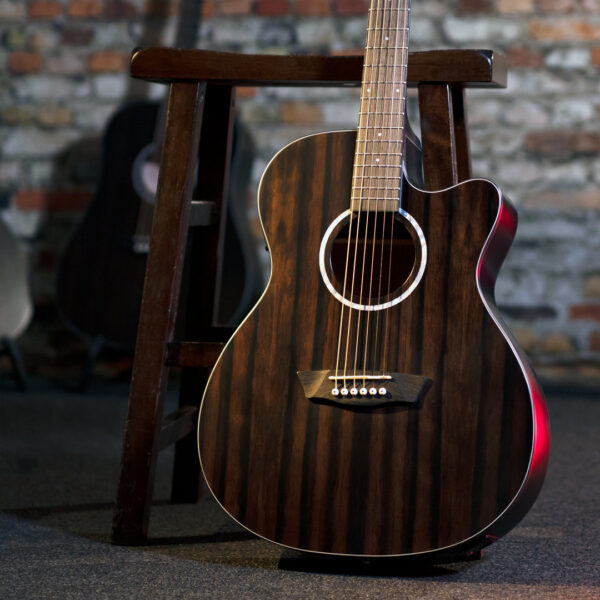 Washburn Ebony ACE Acoustic Guitar - view 2