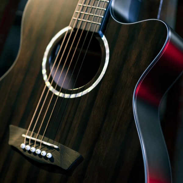 Washburn Ebony ACE Acoustic Guitar - view 3