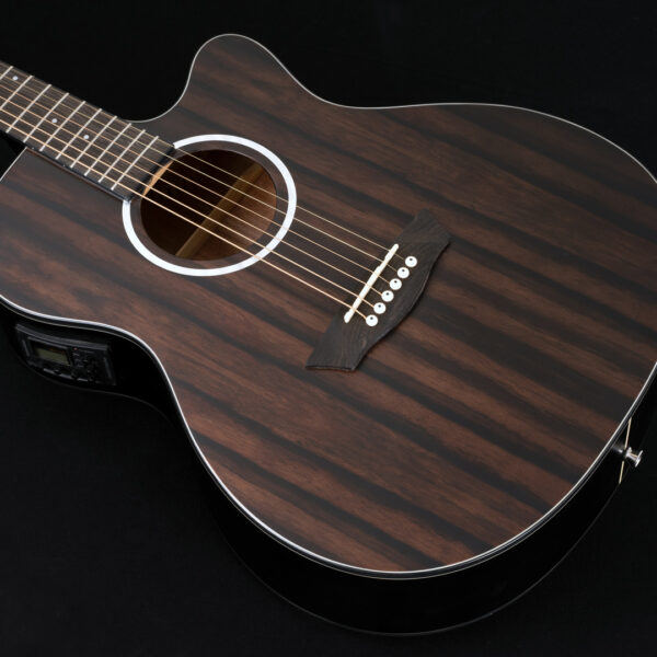 Washburn Ebony ACE Acoustic Guitar - view 4