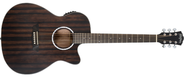 Washburn Ebony ACE Acoustic Guitar product image