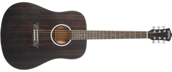 Washburn Ebony D Acoustic Guitar