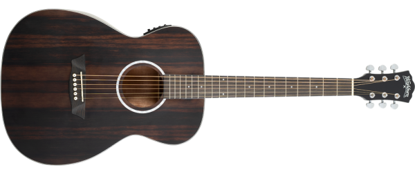 Washburn Ebony FE Acoustic Guitar
