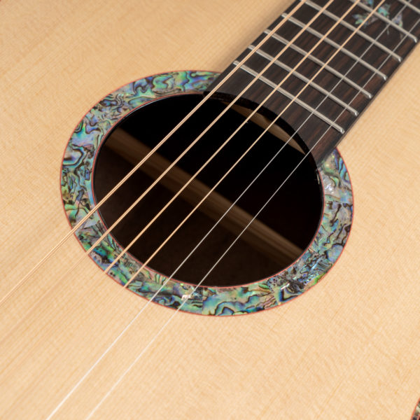 Washburn Elegante S24S Acoustic Guitar - view 3