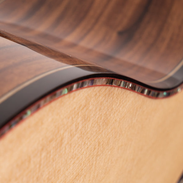 Washburn Elegante S24S Acoustic Guitar - view 4