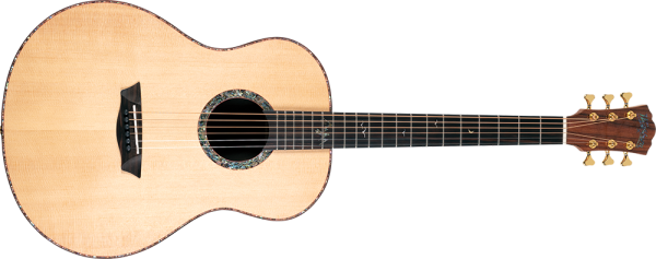 Washburn Elegante S24S Acoustic Guitar