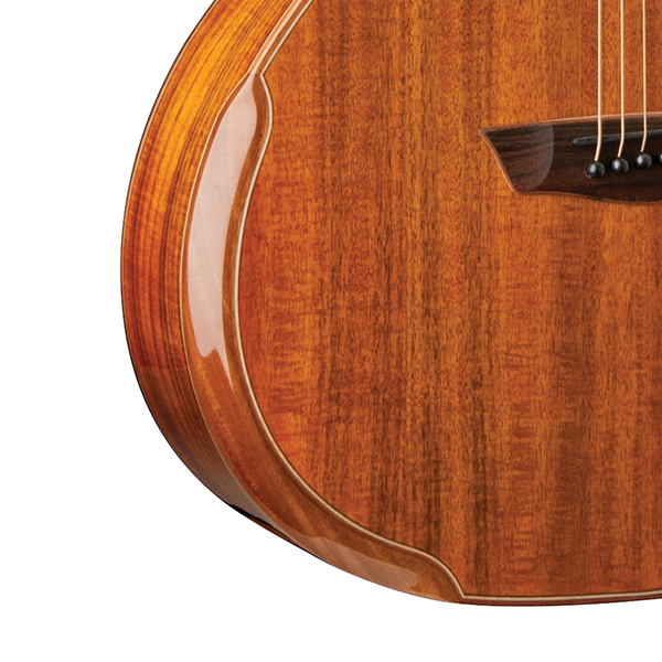 Washburn G55CE Koa Acoustic Guitar - view 2