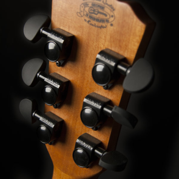Washburn G66SCE Spalt Maple Acoustic Guitar - view 2