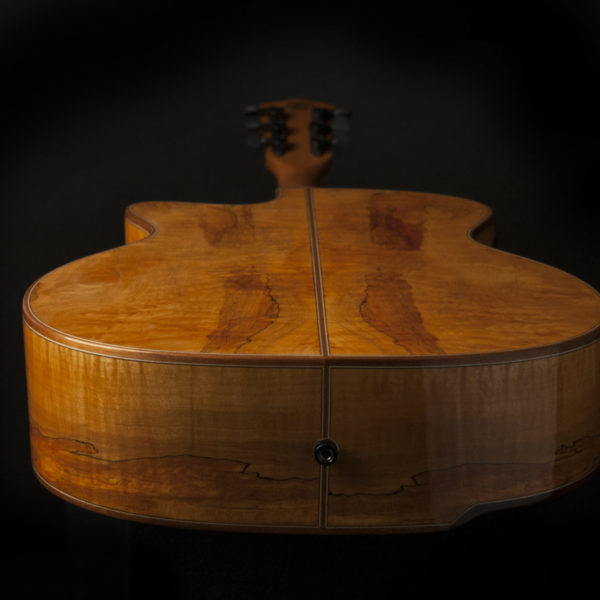 Washburn G66SCE Spalt Maple Acoustic Guitar - view 4