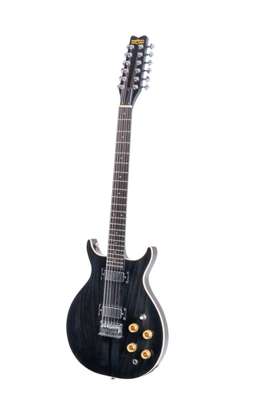 Washburn Hawk 12-String Electric Guitar - view 3