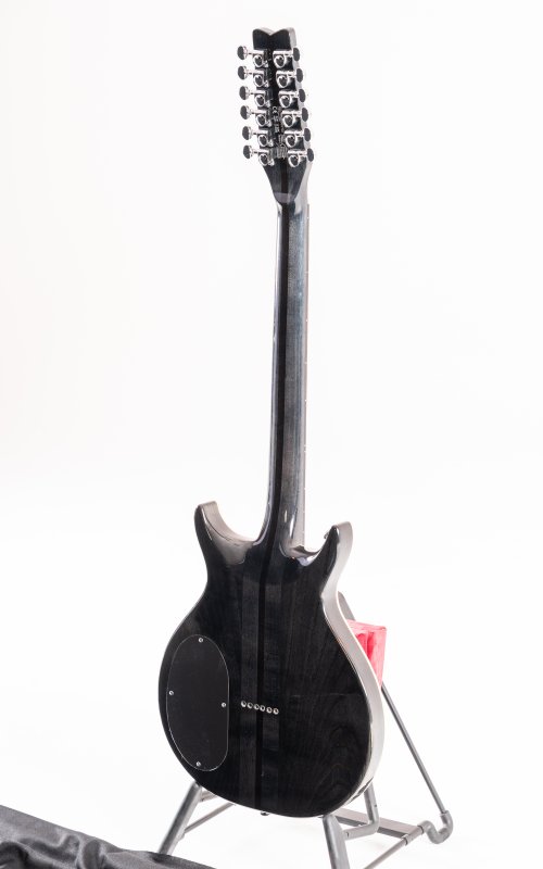 Washburn Hawk 12-String Electric Guitar - view 4