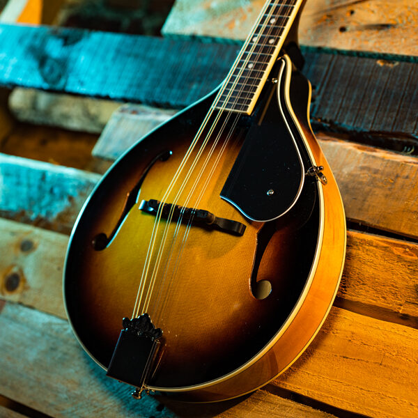 Washburn M1-Pack Mandolin Starter Pack - view 4