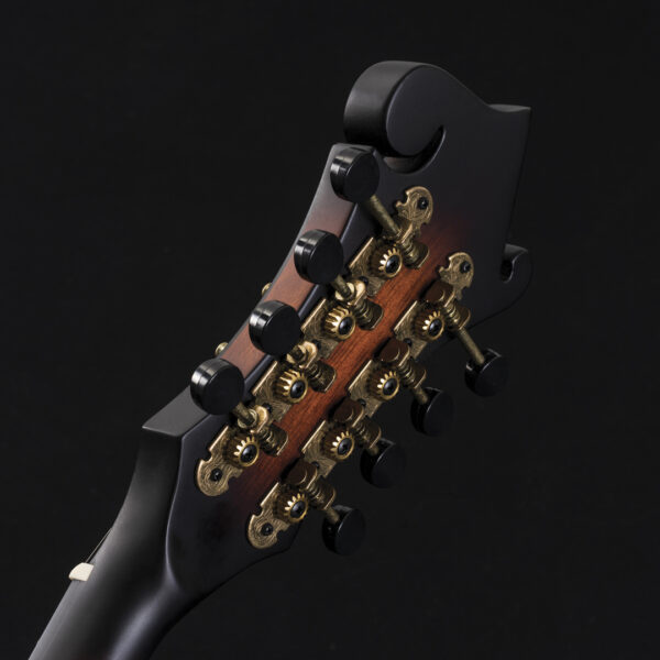 Washburn M108SW Mandolin - view 2