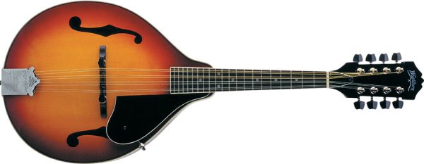 Washburn M1S Mandolin
