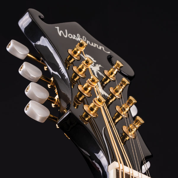 Washburn M1SD Mandolin - view 2