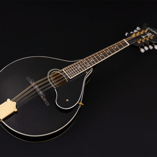 Washburn M1SD Mandolin - view 3