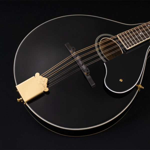 Washburn M1SD Mandolin - view 4
