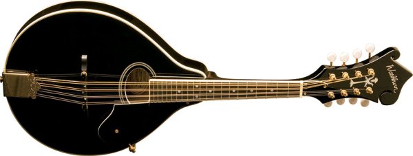 Washburn M1SD Mandolin