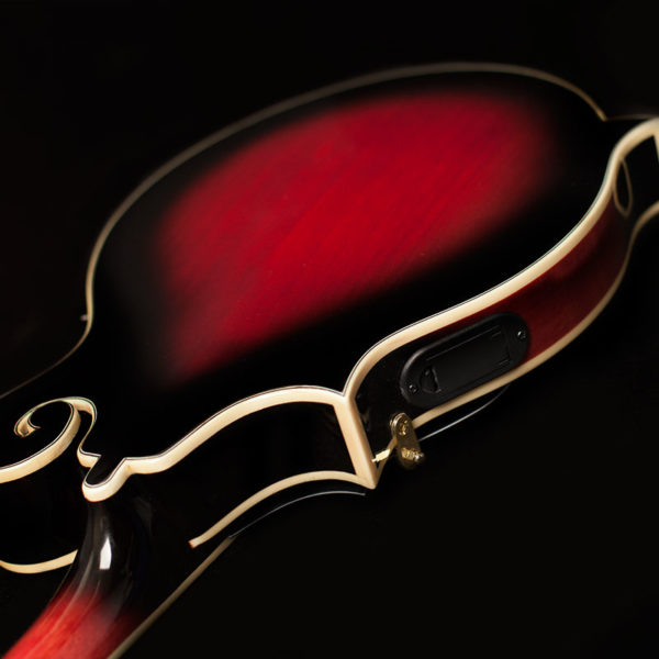 Washburn M3SWE Mandolin - view 2