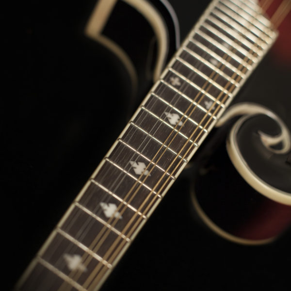 Washburn M3SWE Mandolin - view 3
