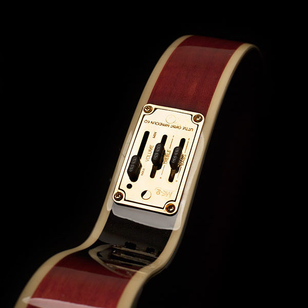 Washburn M3SWE Mandolin - view 4
