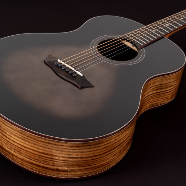 Washburn Novo S9 Acoustic Guitar - view 2