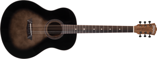 Washburn Novo S9 Acoustic Guitar