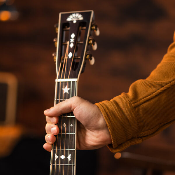 Washburn R-310 Victorian Acoustic Guitar - view 2