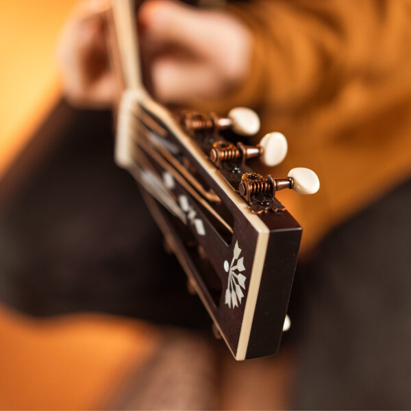 Washburn R-310 Victorian Acoustic Guitar - view 4