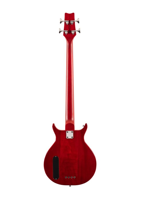 Washburn Scavenger Bass - view 2
