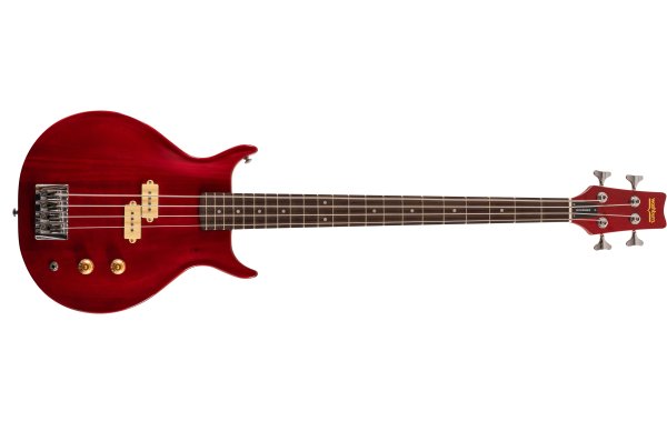 Washburn Scavenger Bass