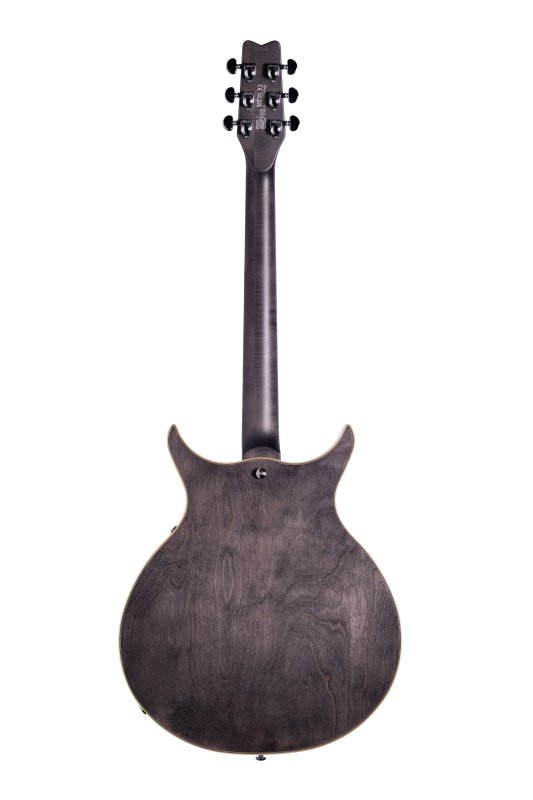 Washburn Semi-Hollow 6-String Electric Guitar - view 2