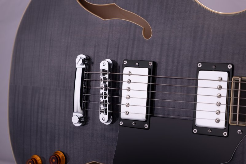 Washburn Semi-Hollow 6-String Electric Guitar - view 3
