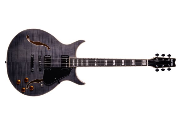 Washburn Semi-Hollow 6-String Electric Guitar