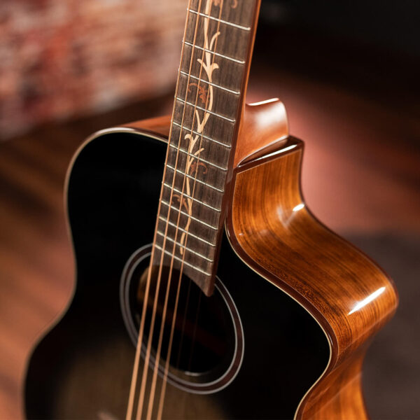 Washburn Vite S9V Acoustic Guitar - view 2
