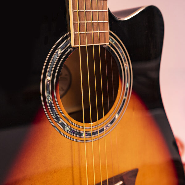 Washburn WA90CE Acoustic Guitar - view 2