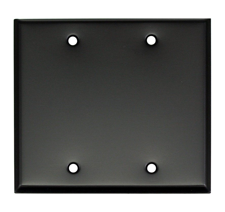 Whirlwind WP2B/0H Wall Plate, Blank