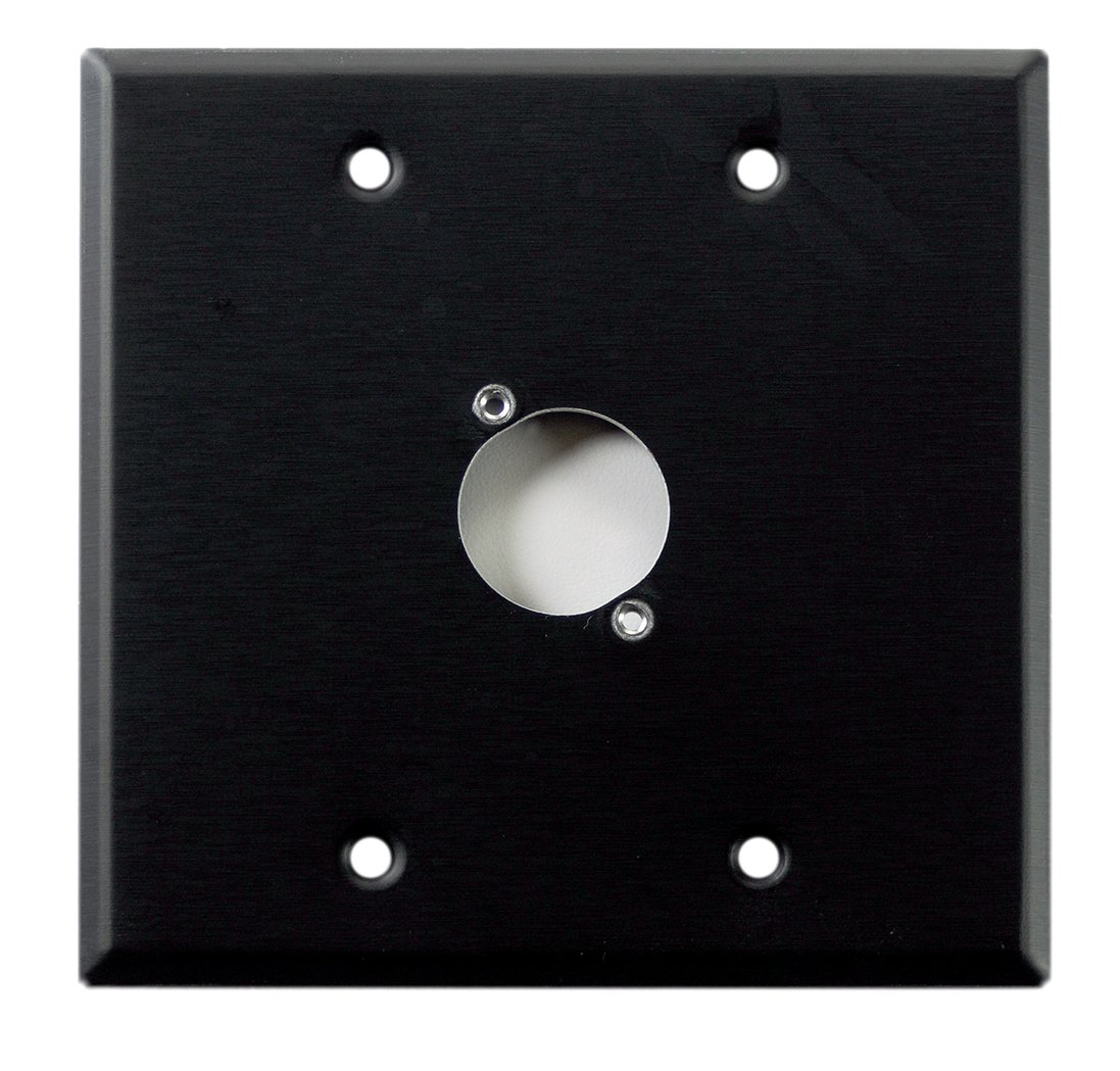Whirlwind WP2B/1H Wall Plate, Punched for One Whirlwind XLR