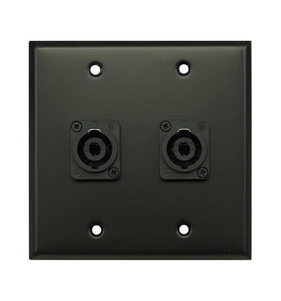 Whirlwind WP2B/2NL4 Wall Plate, Two Neutrik NL4