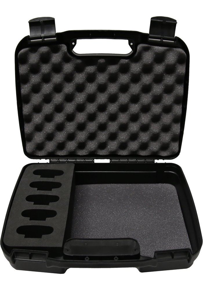 Williams AV Small Digi-Wave system briefcase (5 slot)