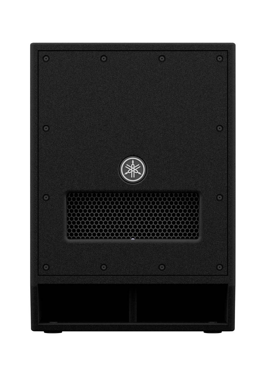 DXS Series Powered Subwoofer